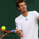 Illustration for article titled A Big, Sweaty Look At Wimbledon So Far